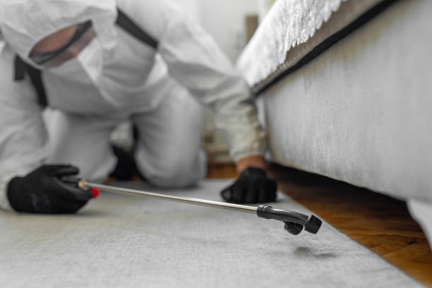 Professional Cockroach Control technician working in Wendell, NC
