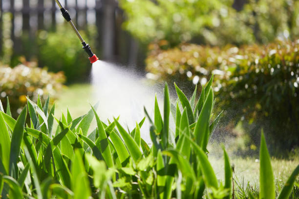 24/7 Emergency Cockroach Control experts in Wendell, NC